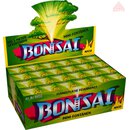 Bonsai Mini Fontne