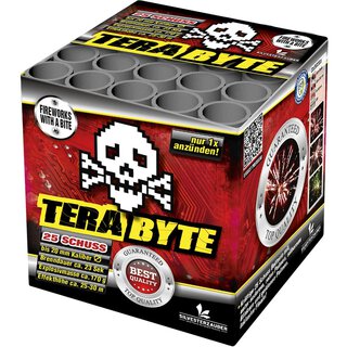 Terabyte