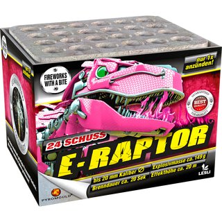 E-Raptor