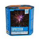 Expression